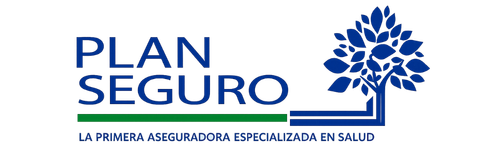 Inicio Plan Seguro